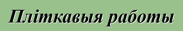 Пліткавыя работы