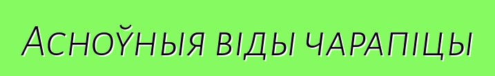 Асноўныя віды чарапіцы