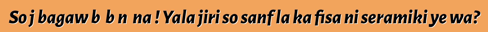 So jɔbagaw bɛ bɔnɛ na ! Yala jiri so sanfɛla ka fisa ni seramiki ye wa?
