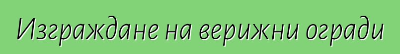 Изграждане на верижни огради