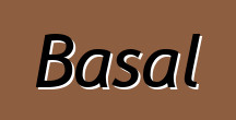 Basal