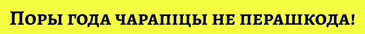 Поры года чарапіцы не перашкода!