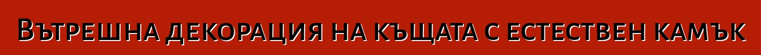 Вътрешна декорация на къщата с естествен камък