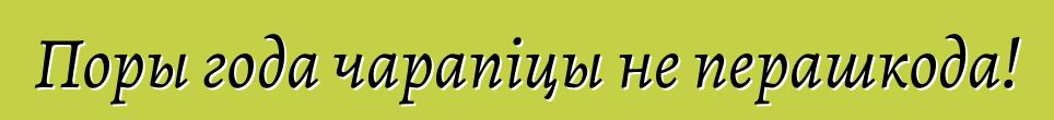 Поры года чарапіцы не перашкода!