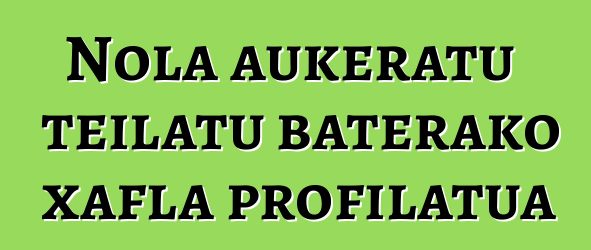 Nola aukeratu teilatu baterako xafla profilatua