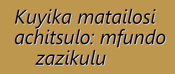 Kuyika matailosi achitsulo: mfundo zazikulu