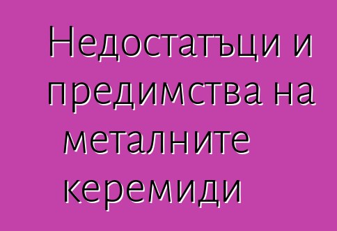 Недостатъци и предимства на металните керемиди