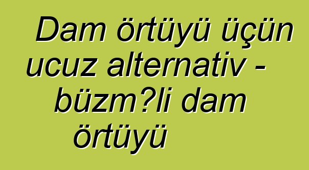 Dam örtüyü üçün ucuz alternativ - büzməli dam örtüyü