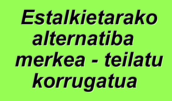 Estalkietarako alternatiba merkea - teilatu korrugatua