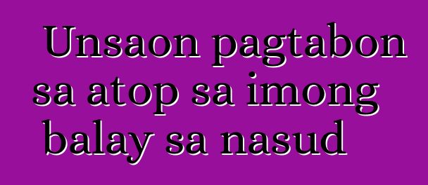 Unsaon pagtabon sa atop sa imong balay sa nasud