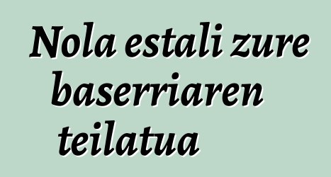 Nola estali zure baserriaren teilatua