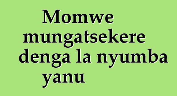 Momwe mungatsekere denga la nyumba yanu