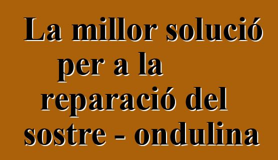 La millor solució per a la reparació del sostre - ondulina