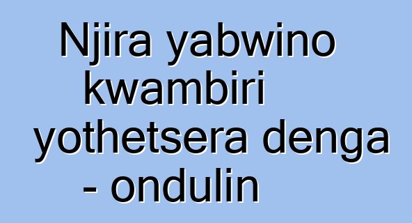 Njira yabwino kwambiri yothetsera denga - ondulin