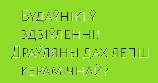 Будаўнікі ў здзіўленні! Драўляны дах лепш керамічнай?