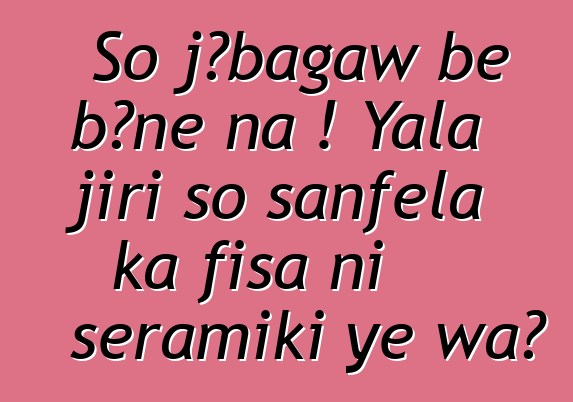 So jɔbagaw bɛ bɔnɛ na ! Yala jiri so sanfɛla ka fisa ni seramiki ye wa?