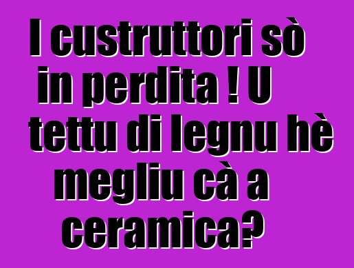 I custruttori sò in perdita ! U tettu di legnu hè megliu cà a ceramica?