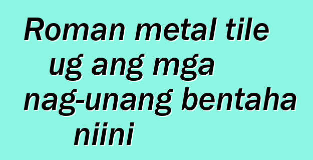 Roman metal tile ug ang mga nag-unang bentaha niini