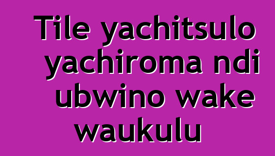 Tile yachitsulo yachiroma ndi ubwino wake waukulu