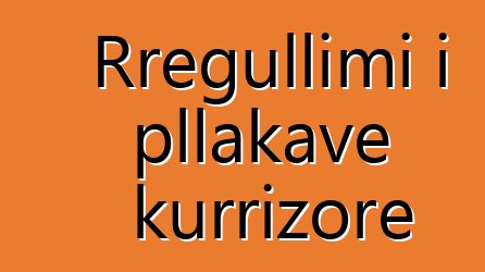 Rregullimi i pllakave kurrizore