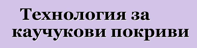 Технология за каучукови покриви