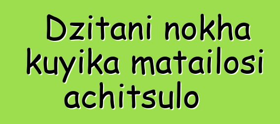 Dzitani nokha kuyika matailosi achitsulo