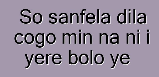 So sanfɛla dila cogo min na ni i yɛrɛ bolo ye