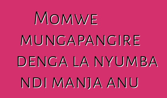 Momwe mungapangire denga la nyumba ndi manja anu