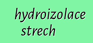 hydroizolace střech