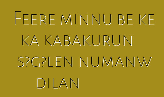 Fɛɛrɛ minnu bɛ kɛ ka kabakurun sɔgɔlen ɲumanw dilan