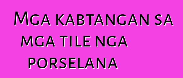 Mga kabtangan sa mga tile nga porselana