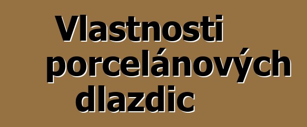 Vlastnosti porcelánových dlaždic