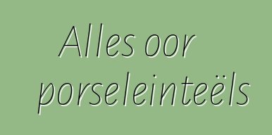 Alles oor porseleinteëls