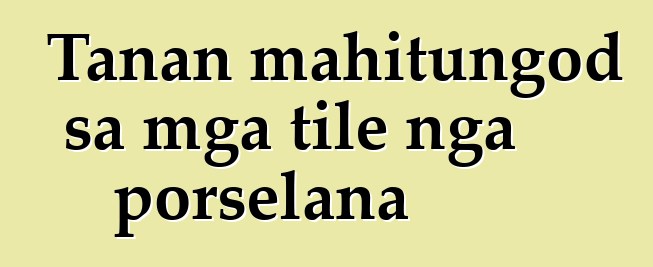 Tanan mahitungod sa mga tile nga porselana