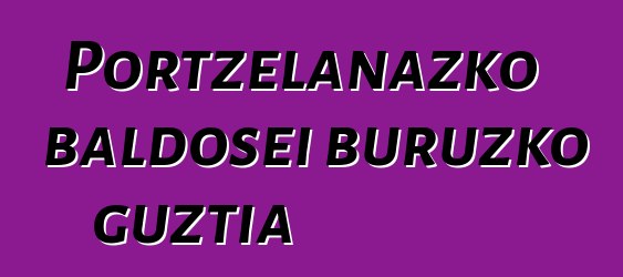 Portzelanazko baldosei buruzko guztia