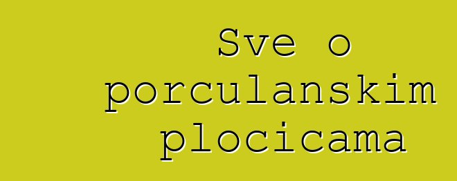 Sve o porculanskim pločicama