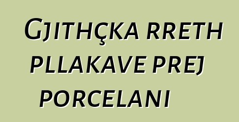 Gjithçka rreth pllakave prej porcelani