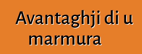 Avantaghji di u marmura