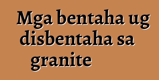 Mga bentaha ug disbentaha sa granite