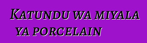 Katundu wa miyala ya porcelain