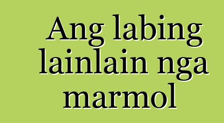 Ang labing lainlain nga marmol