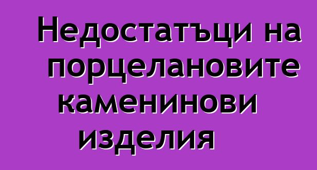 Недостатъци на порцелановите каменинови изделия