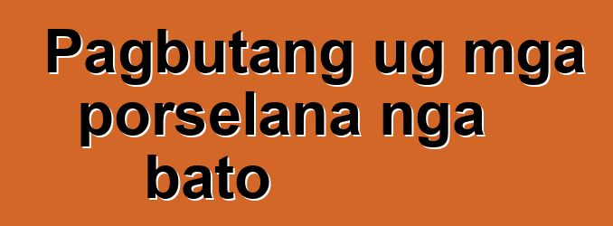 Pagbutang ug mga porselana nga bato