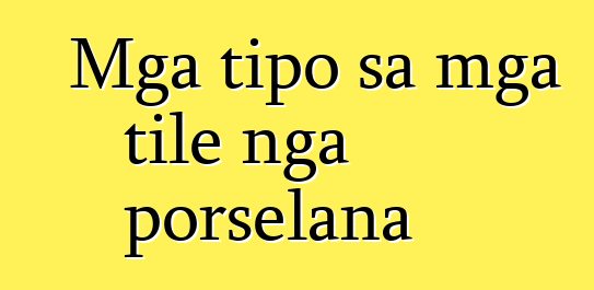 Mga tipo sa mga tile nga porselana