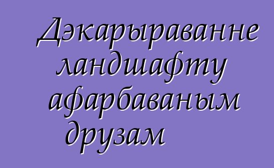 Дэкарыраванне ландшафту афарбаваным друзам