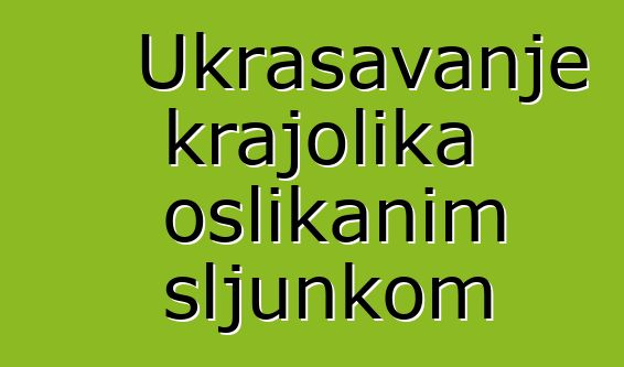 Ukrašavanje krajolika oslikanim šljunkom