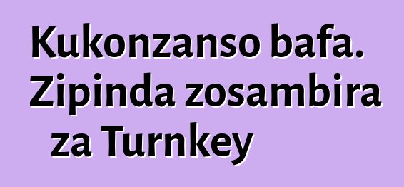 Kukonzanso bafa. Zipinda zosambira za Turnkey