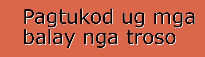 Pagtukod ug mga balay nga troso