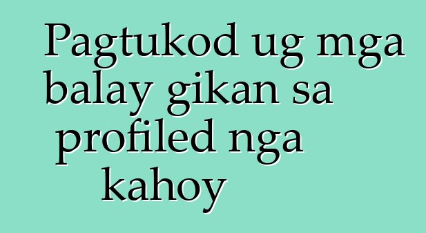 Pagtukod ug mga balay gikan sa profiled nga kahoy