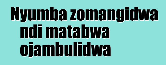 Nyumba zomangidwa ndi matabwa ojambulidwa